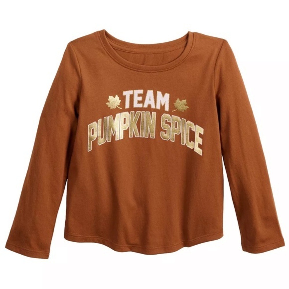 Brand New Toddler Girls Pumpkin Spice Long Sleeve T-Shirt, Size 4T, NWT